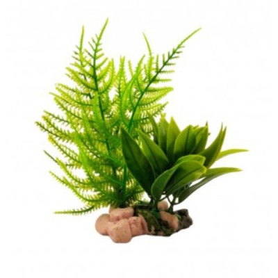 ΔΙΑΚΟΣΜΗΤΙΚΟ ΦΥΤΟ ΕΝΥΔΡΕΙΟΥ 19Χ8CM